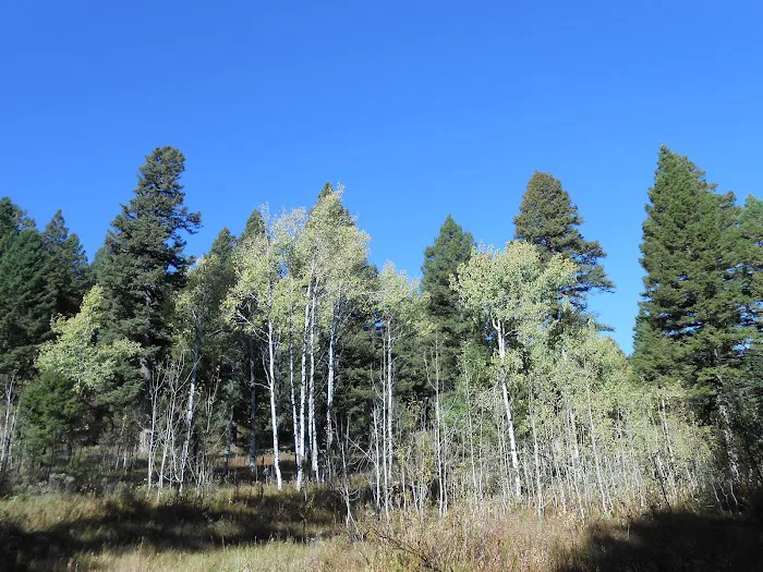 Stoddard Creek Campground Picture 7