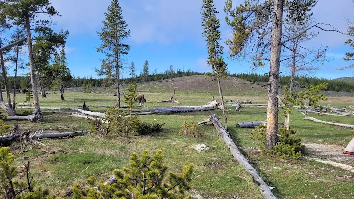 Sentinel Meadows East Picture 4
