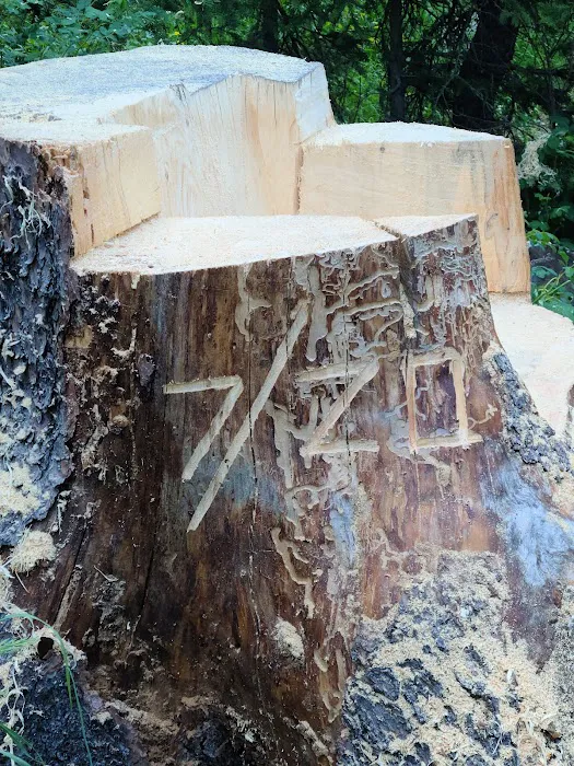 Hicks Park Campground Picture 1
