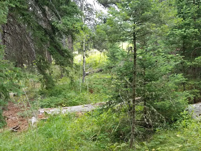 Hells Canyon Campground Picture 3