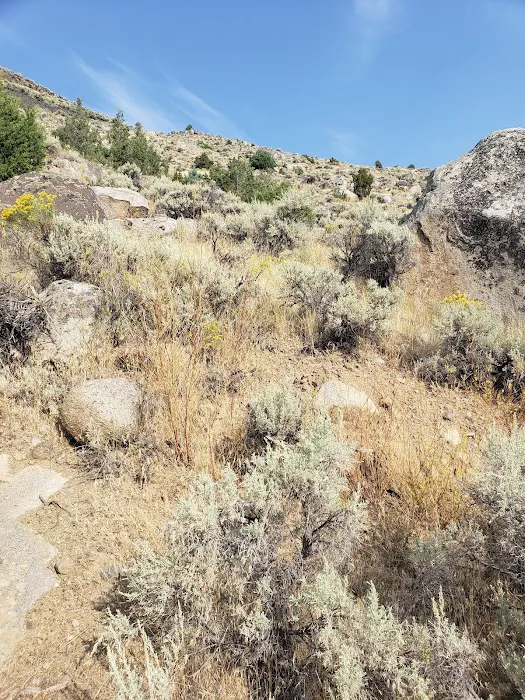 Yellowstone River Trail Picture 7