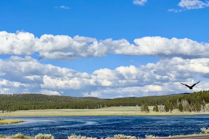 Yellowstone River Trail Picture 2
