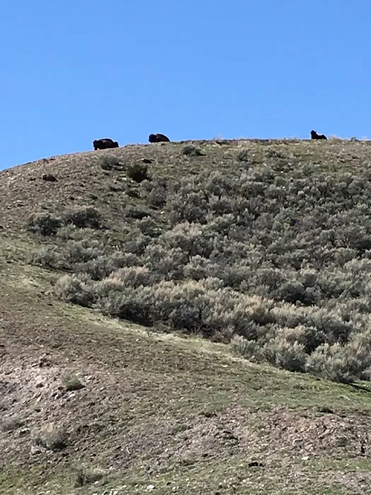 Mammoth Campground Picture 2