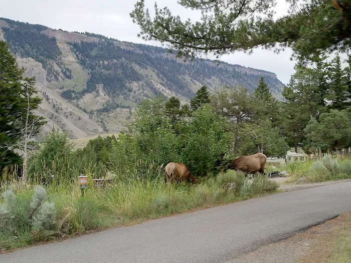 Mammoth Campground Picture 3