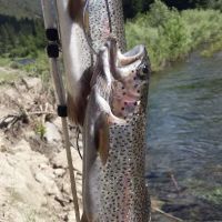 Big Beaver Campground ico