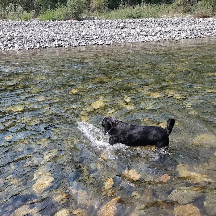 Aspen Campground Picture 10