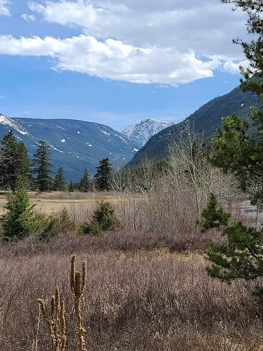 Aspen Campground Picture 6
