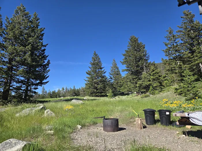 Woodbine Campground Picture 5