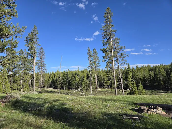 Bighorn Pass Campground Picture 1