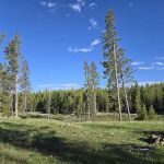 Bighorn Pass Campground