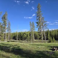 Bighorn Pass Campground ico