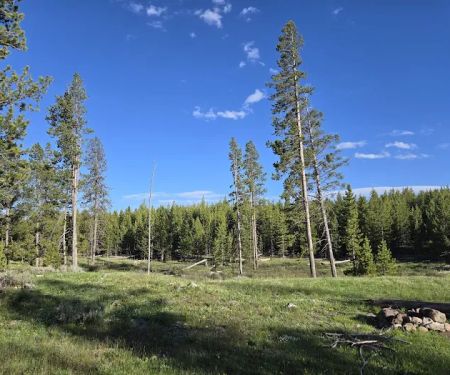 Bighorn Pass Campground