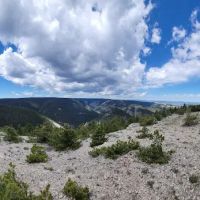 Jellison Place Campground ico