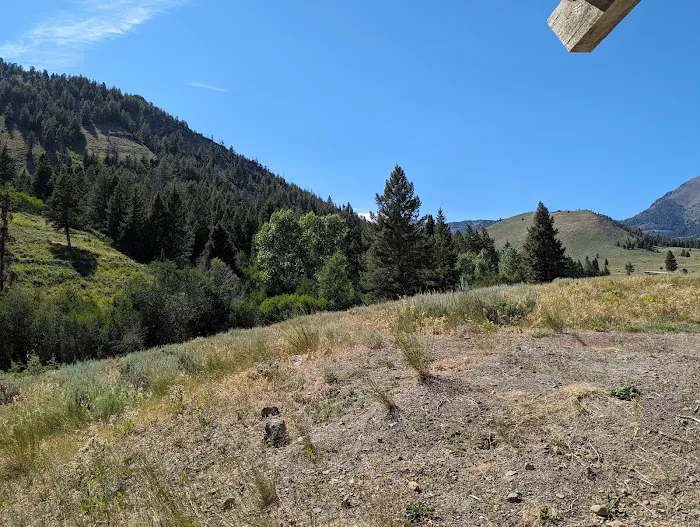 Iron Bog Campground Picture 6