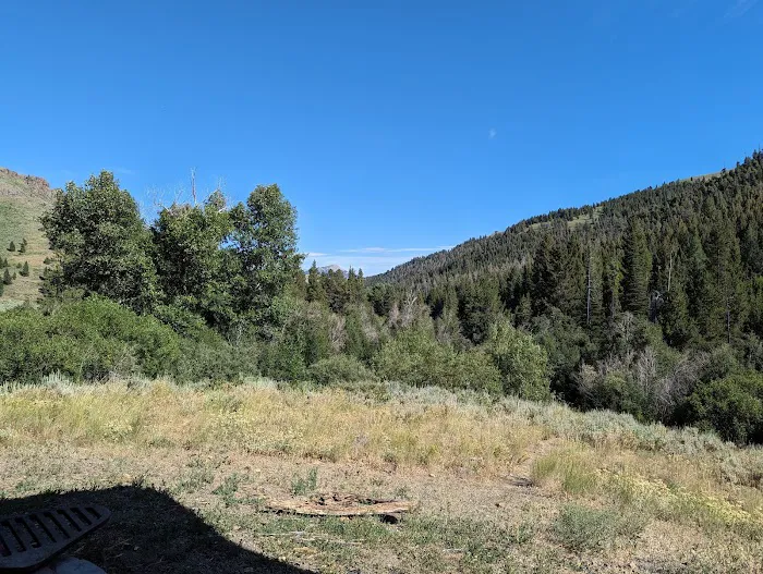 Iron Bog Campground Picture 7