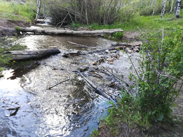 Bear Creek Campground Picture 8