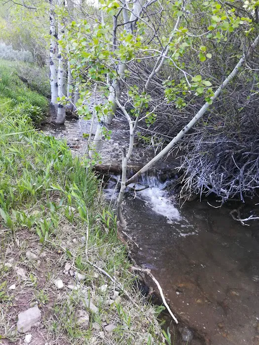 Bear Creek Campground Picture 7