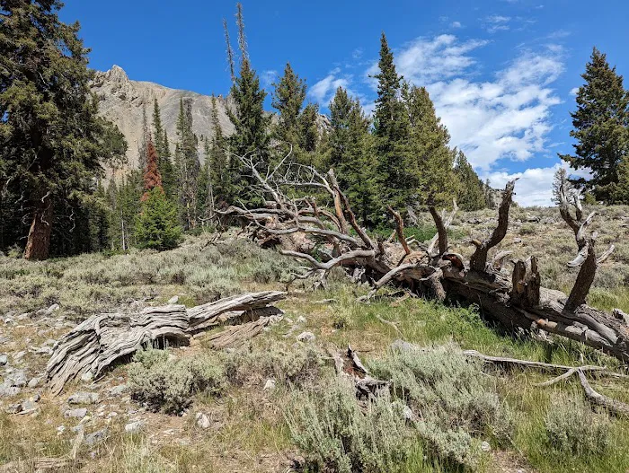 Bear Creek Campground Picture 1