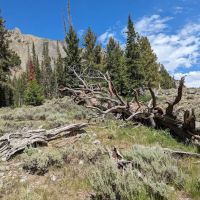 Bear Creek Campground ico