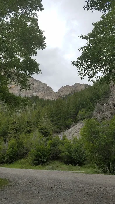 Pass Creek Narrows Picnic Site Picture 4