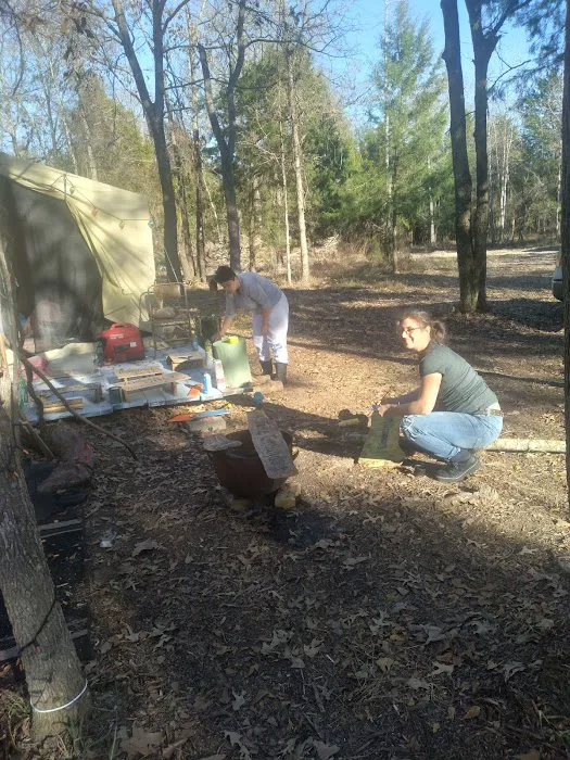 Woodcock Woodlands Picture 5