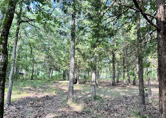 Focus Pointe Base Camp Picture 4
