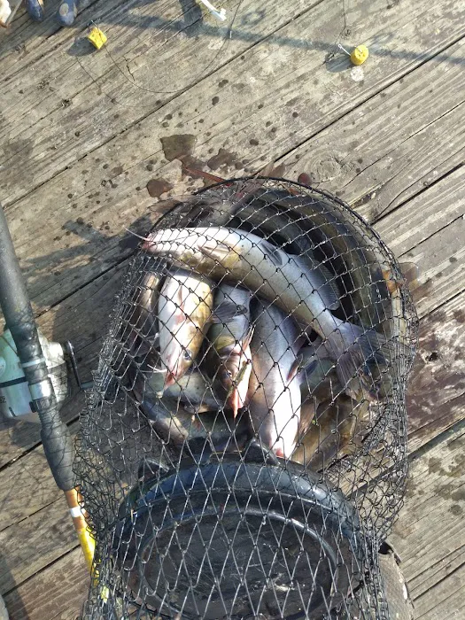 Coffee Creek Landing Picture 9