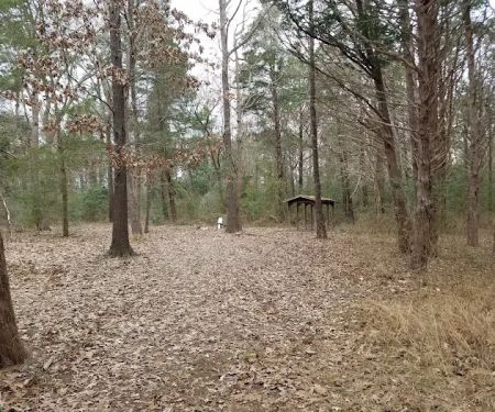 BSA Camp Meisenbach
