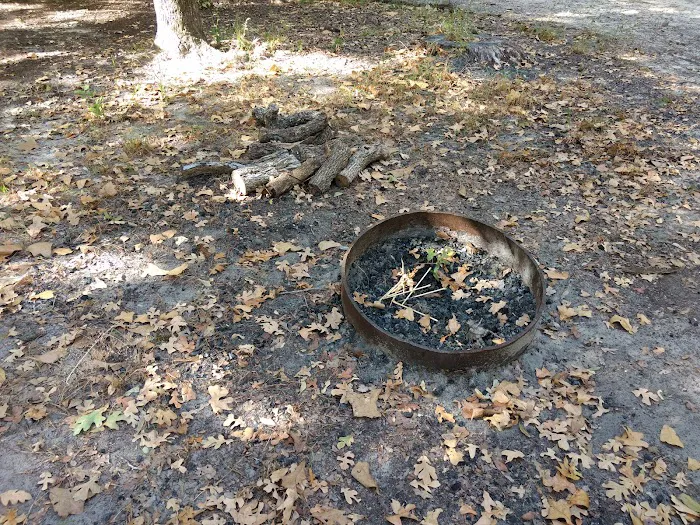 Black Bear Camp Site Picture 7