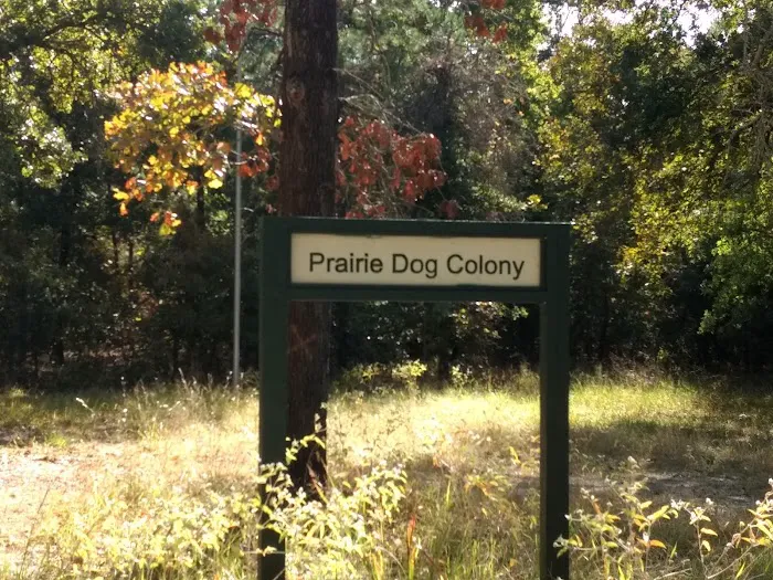 Prairie Dog Colony Camp Site Picture 2