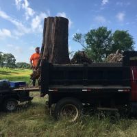 Hickory Hill Camp Site ico