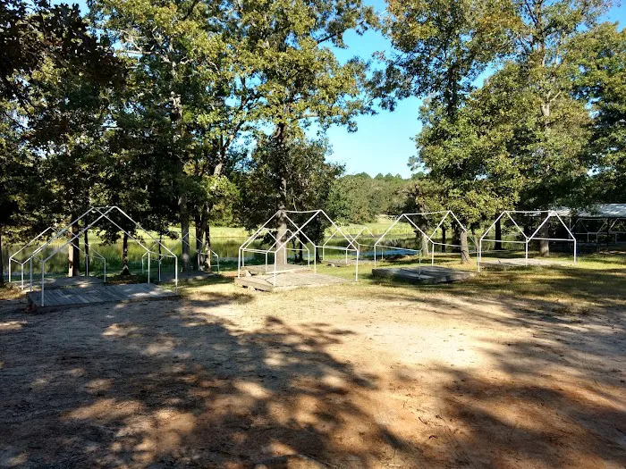 Gum Ridge Camp Site Picture 6