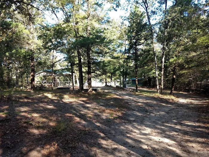 Gum Ridge Camp Site Picture 2