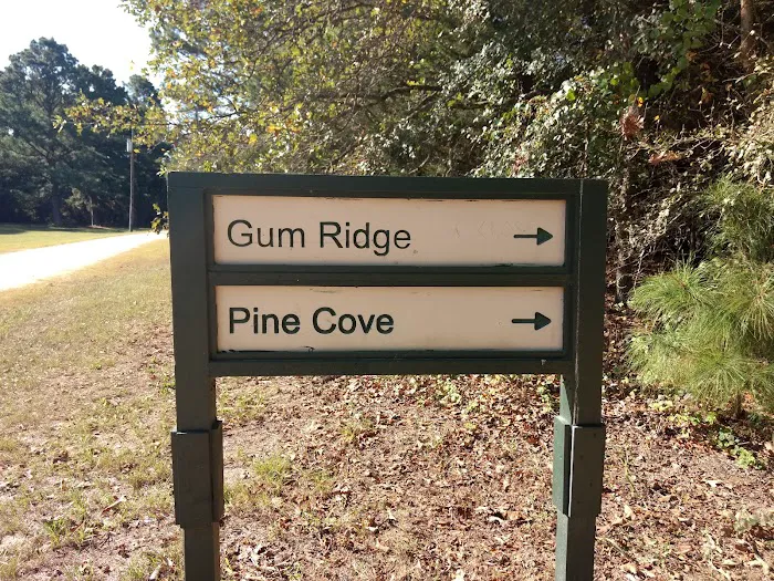 Gum Ridge Camp Site Picture 1