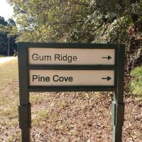 Gum Ridge Camp Site ico