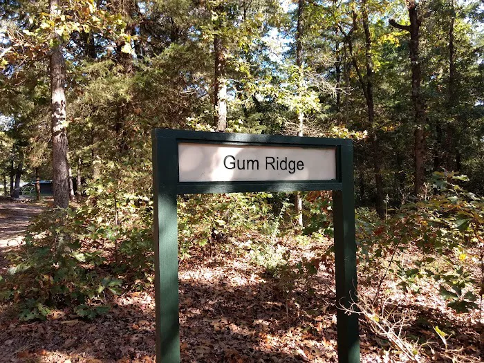 Gum Ridge Camp Site Picture 4