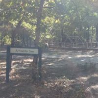 Armadillo Den Camp Site ico