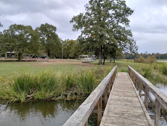 Cypress Knee Camp Site Picture 1