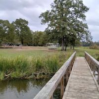 Cypress Knee Camp Site ico