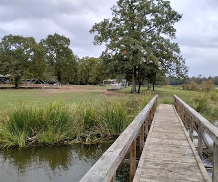 Cypress Knee Camp Site
