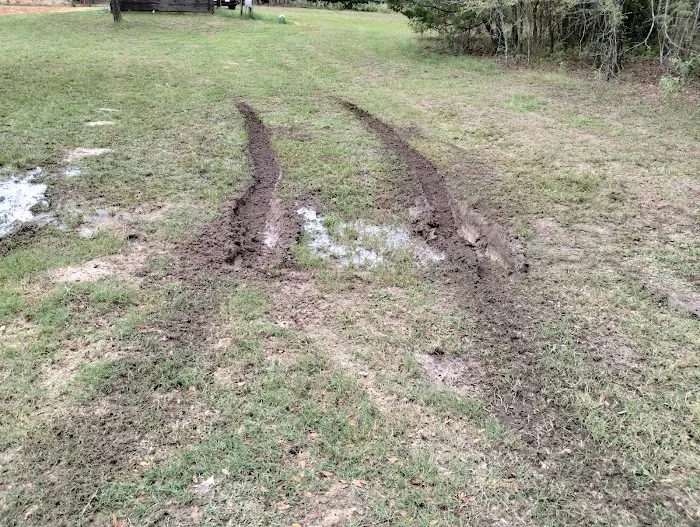 Cypress Knee Camp Site Picture 6