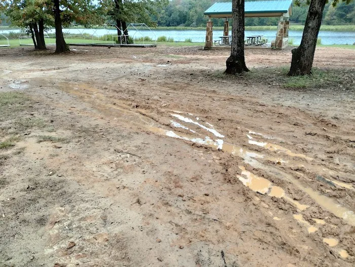 Cypress Knee Camp Site Picture 9