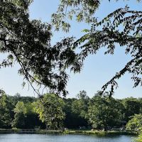 Dogwood Ridge Camp Site ico