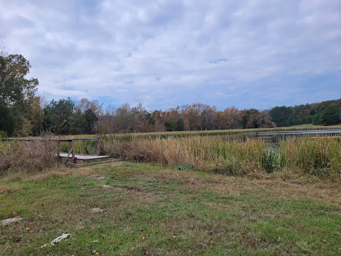 Post Oak Point Camp Site Picture 3