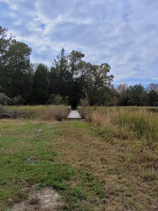 Post Oak Point Camp Site Picture 5