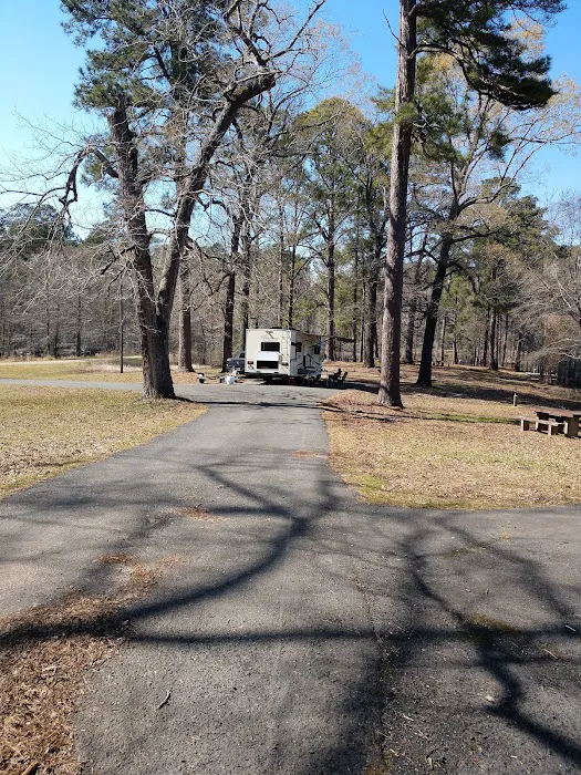 Corney Lake Campground Picture 6