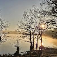 Corney Lake Campground ico