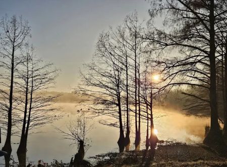 Corney Lake Campground