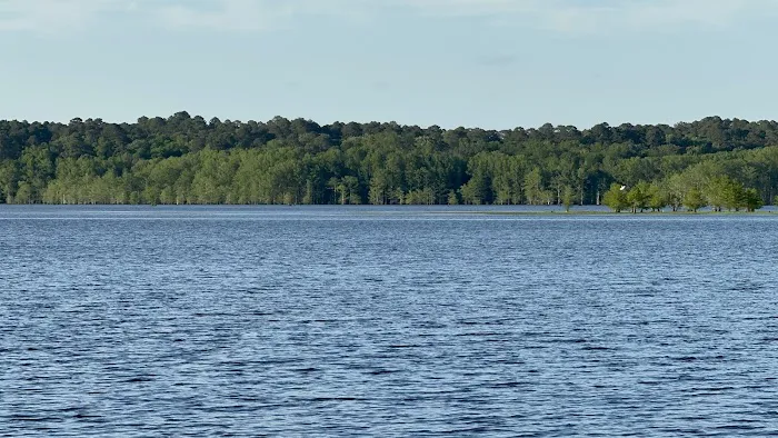 Corney Lake Campground Picture 3