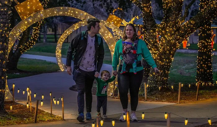 The Christmas Train Picture 5